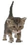 Benutzeravatar