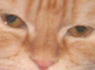 Benutzeravatar